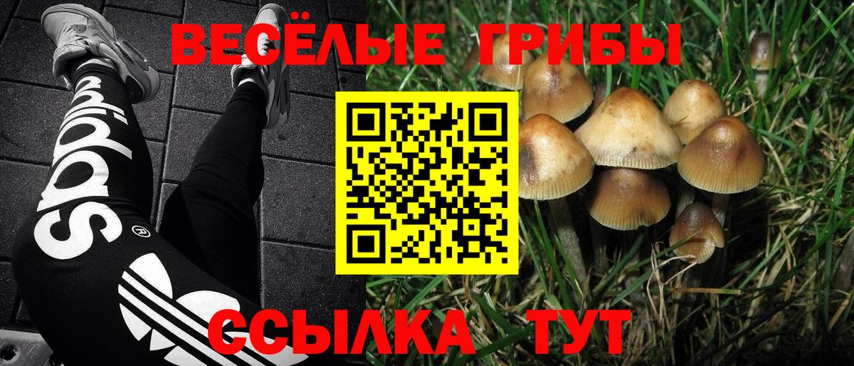 Галлюциногенные грибы мицелий Лобня