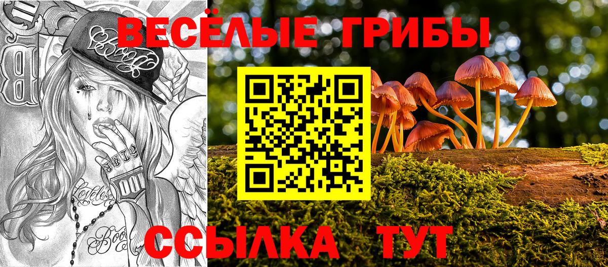 Лобня  Псилоцибиновые грибы Cubensis  Вход с VPN  Галлюциногенные грибы ЛСД 